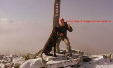 Ferienwohnungen Ranzinger