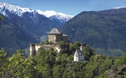 Mantrailing Urlaub mit Hund