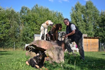 Faires Hundetraining