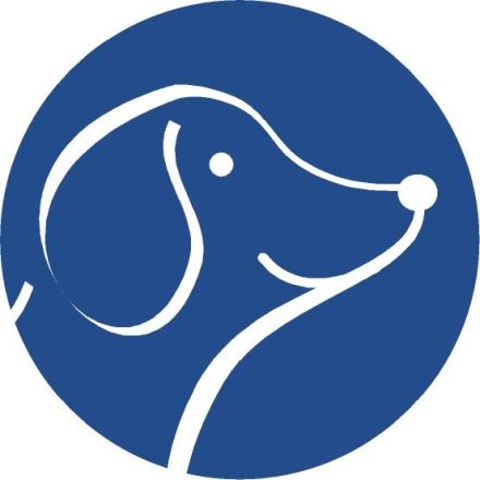 Faires Hundetraining