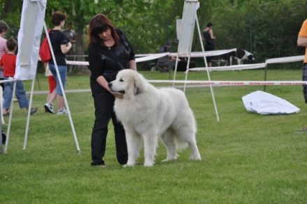 Andy first z Vajlovny