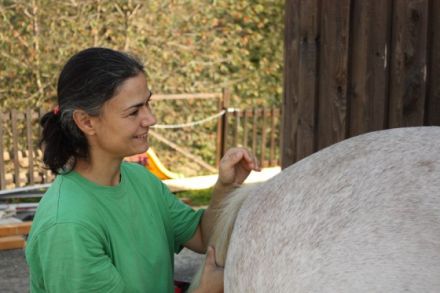Cranio-Sacrale-Osteopathie und Tierheilpraxis "Von Kopf bis Huf" Thüringen
