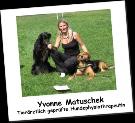Hundepyhsiotherapie Nürnberg