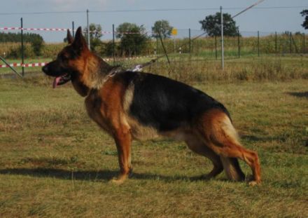 Esko von der alma mater