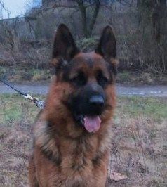 Esko von der alma mater