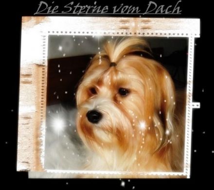 Stern vom Dach