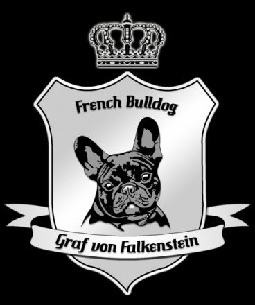 Graf von Falkenstein