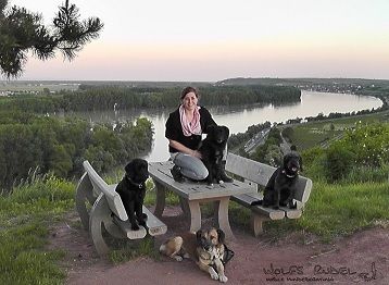 Wolfs Rudel - HundeHalterCoaching