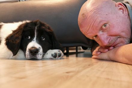 Dog's red line - Die Herrchen- und Frauchentrainer