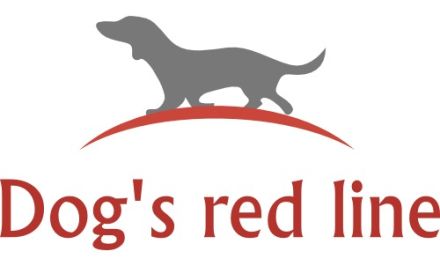 Dog's red line - Die Herrchen- und Frauchentrainer