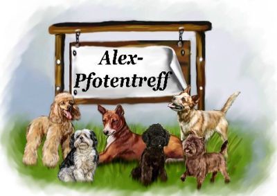 Alex-Pfotentreff
