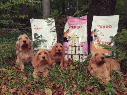 Von der Kalksburgerhöh