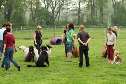 Kirsten´s, Heimtierbedarf und mehr