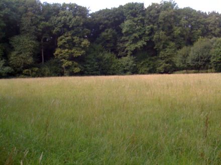 Hundepension Münster