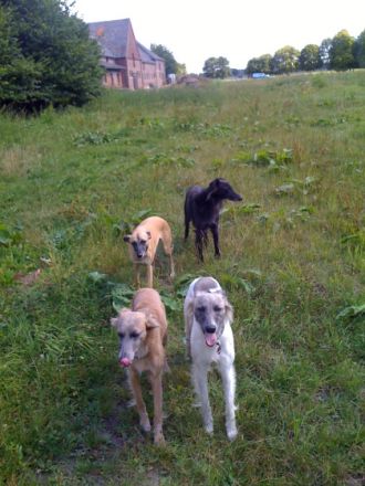 Hundepension Münster