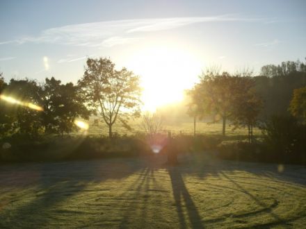 Hundepension Münster