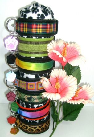 Doggy's Style - Service für alle Felle!