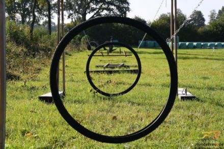 HundeFreu(n)de - Die Hundeschule in Latendorf