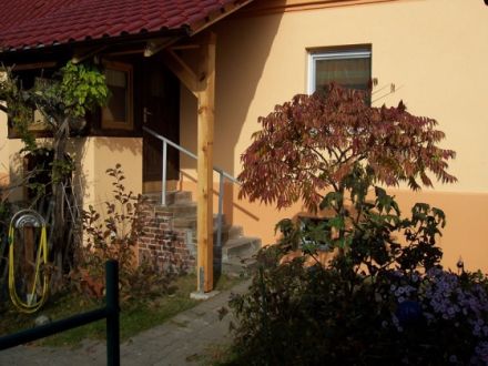 Ferien/Urlaub in Sommerfeld II - Hunde willkommen!