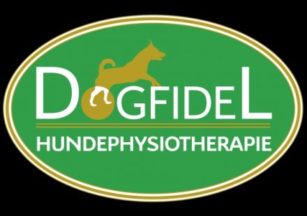 Hundephysiotherapie Dogfidel