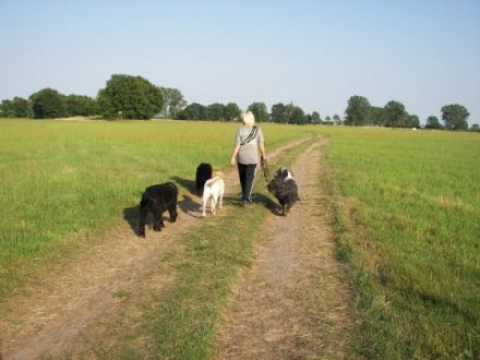 Tierhotel & Hundeschule - Kathrin Lemke