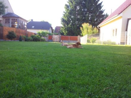 Tierhotel & Hundeschule - Kathrin Lemke