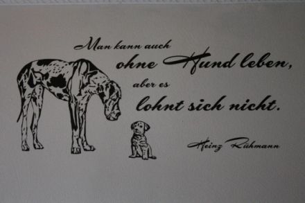 Tierphysiotherapie/Osteopathie/Tierheilkunde/Hundeschwimmbad