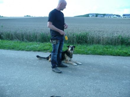 Stressfrei-Hund & Mensch