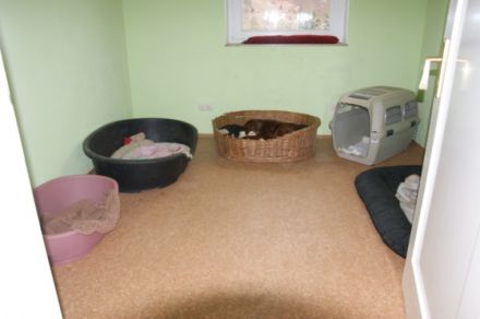 Hundepension im Täle