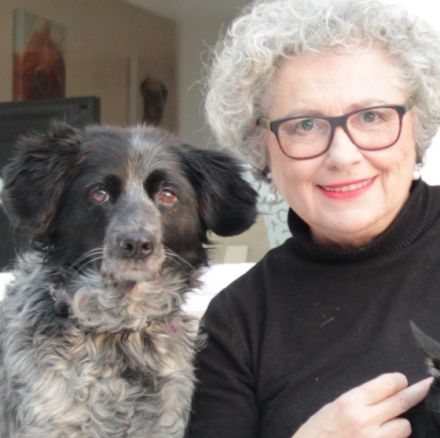 die etwas andere Hundetagesstätte