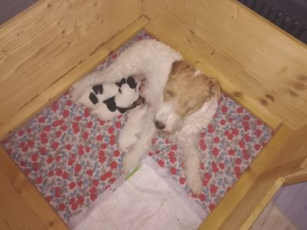 Vom Rodensteiner Land