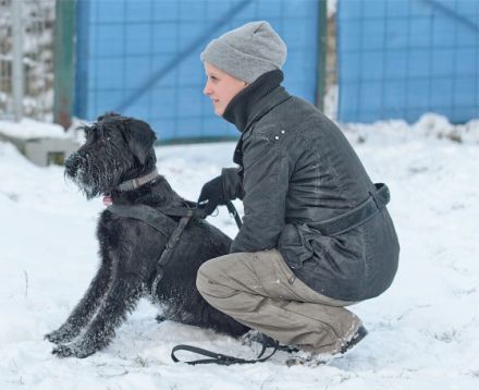 Hundetraining mit H.O.P.E.