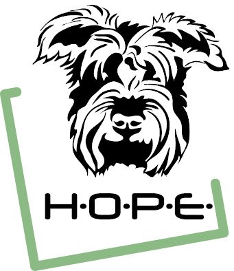 Hundetraining mit H.O.P.E.