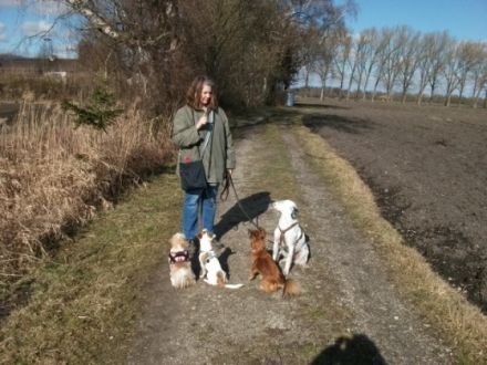 HundKatzHaus - Hundesitterin und Gassiservice für kleine Hunde