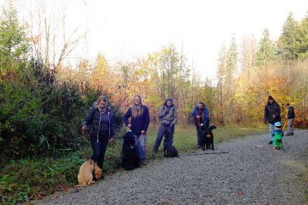 Hundeführerschein BLTK Sachkunde Hund