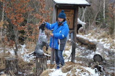 Hundeführerschein BLTK Sachkunde Hund