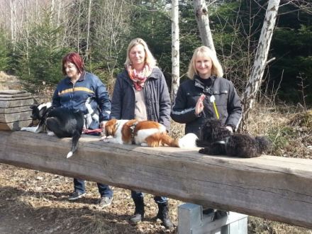 Hundeführerschein BLTK Sachkunde Hund