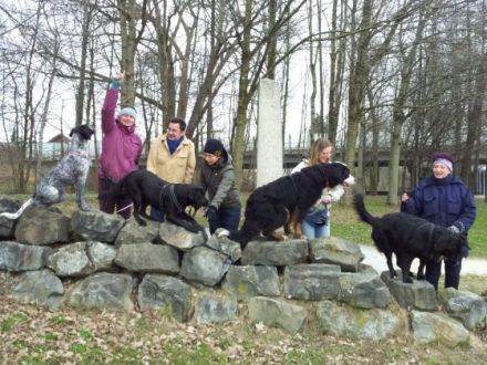 Hundeführerschein BLTK Sachkunde Hund