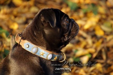 Herr Freddie Prinz vom-Haberschlachter-See