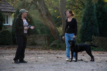 Mensch und Hund im Fokus