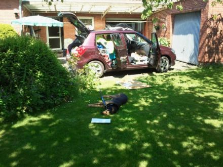 Privathaushalt: 1 klein bis mittelgroßen Hund auf