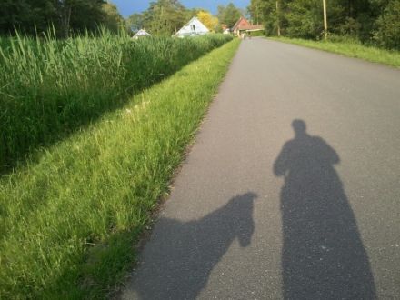 Privathaushalt: 1 klein bis mittelgroßen Hund auf