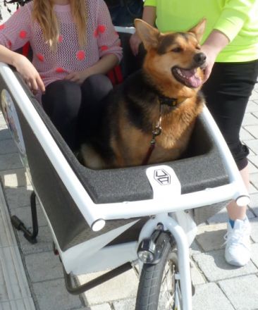 Radreisen mit Hund im Bayerischen Wald