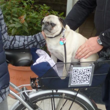 Radreisen mit Hund im Bayerischen Wald