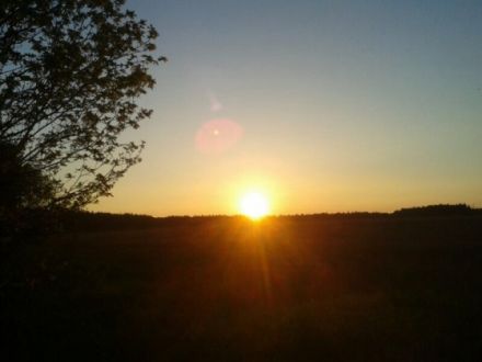 Ferienhaus in Rheinsberg Urlaub mit Hund