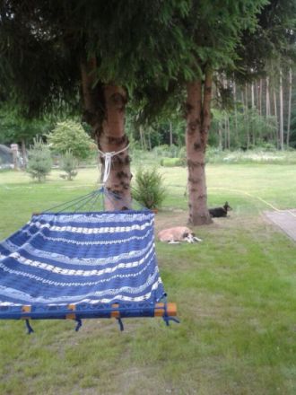 Ferienhaus in Rheinsberg Urlaub mit Hund