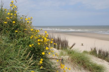 Chalet "Strandliebe"