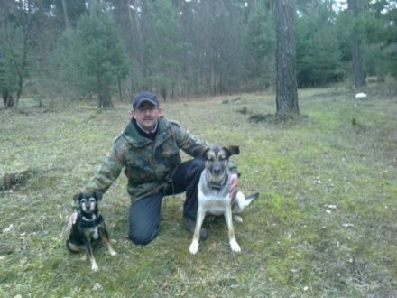 Hundeschule sitzplatzfuss