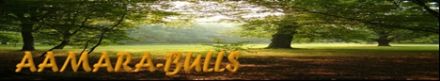 Aamara-Bulls