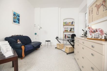 Tierheilpraxis Nina Jeschke